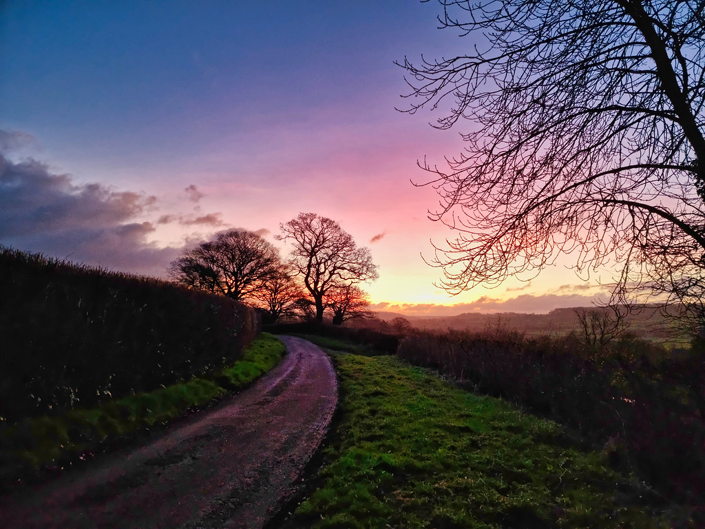 A quiet country path curving toward a warm sunrise over open fields, a calm start to a new day.